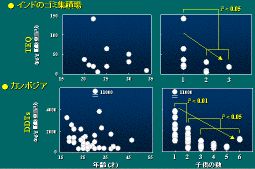 Relationship between woman's age, number of children and concentrations of TEQs, DDTs in human breast milk